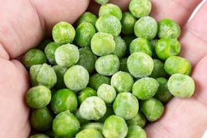 Closeup of Frozen Green Peas in the hand Closeup of Frozen Green Peas in the hand