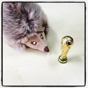 Den WM-Pokal fest im Blick. Noch 111 Tage bis zum WM-Start. #fifa #wm #brazil #brasilien #deutschland #pokal #wm2014 Den WM-Pokal fest im Blick. Noch 111 Tage bis zum WM-Start. #fifa #wm #brazil #brasilien #deutschland #pokal #wm2014