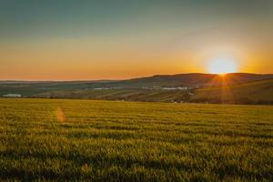 Field at beautiful sunset in South Moravia Field at beautiful sunset in South Moravia