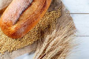 Fresh rye bread with spikelet and wheat Fresh rye bread with spikelet and wheat
