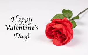 Happy Valentine Happy Valentine