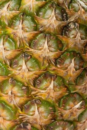 Pineapple bark in closeup macro image Pineapple bark in closeup macro image