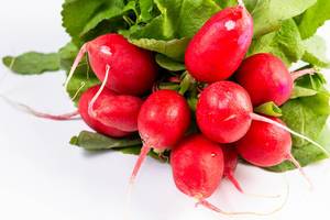 Red Radishes above white background Red Radishes above white background