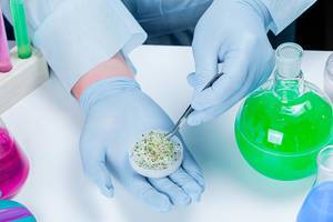 The concept of biological analysis of plants. Men The concept of biological analysis of plants. Men