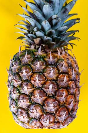 the fruit of the pineapple the fruit of the pineapple