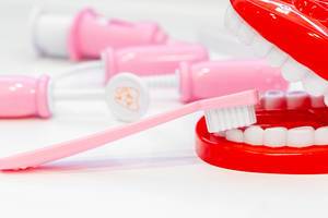 Toy teeth with toothbrush and dentist tools